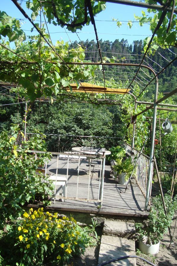 Guesthouse Valeria Borjomi Eksteriør billede
