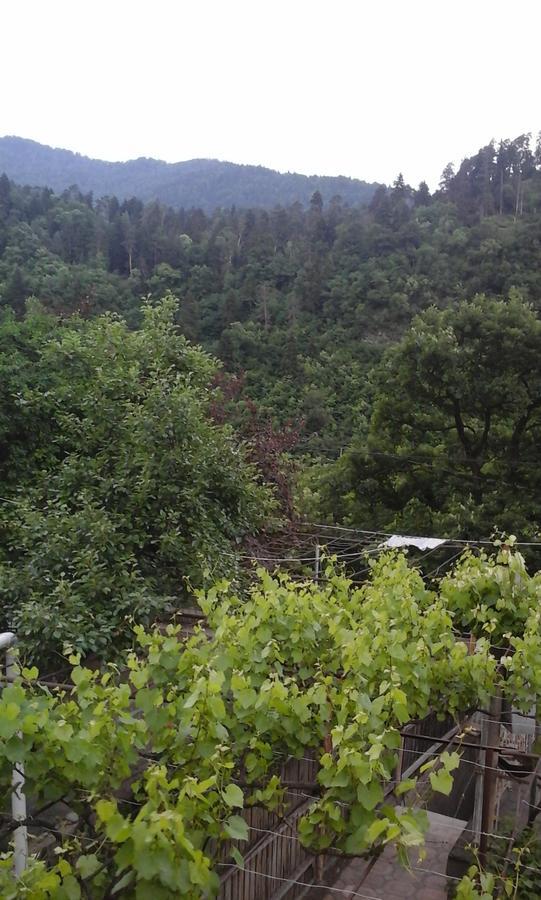 Guesthouse Valeria Borjomi Eksteriør billede
