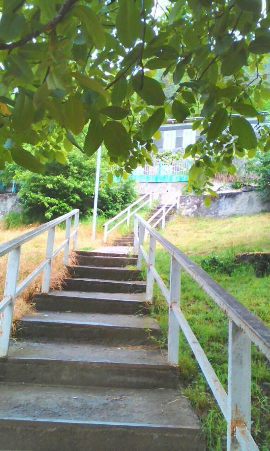 Guesthouse Valeria Borjomi Eksteriør billede